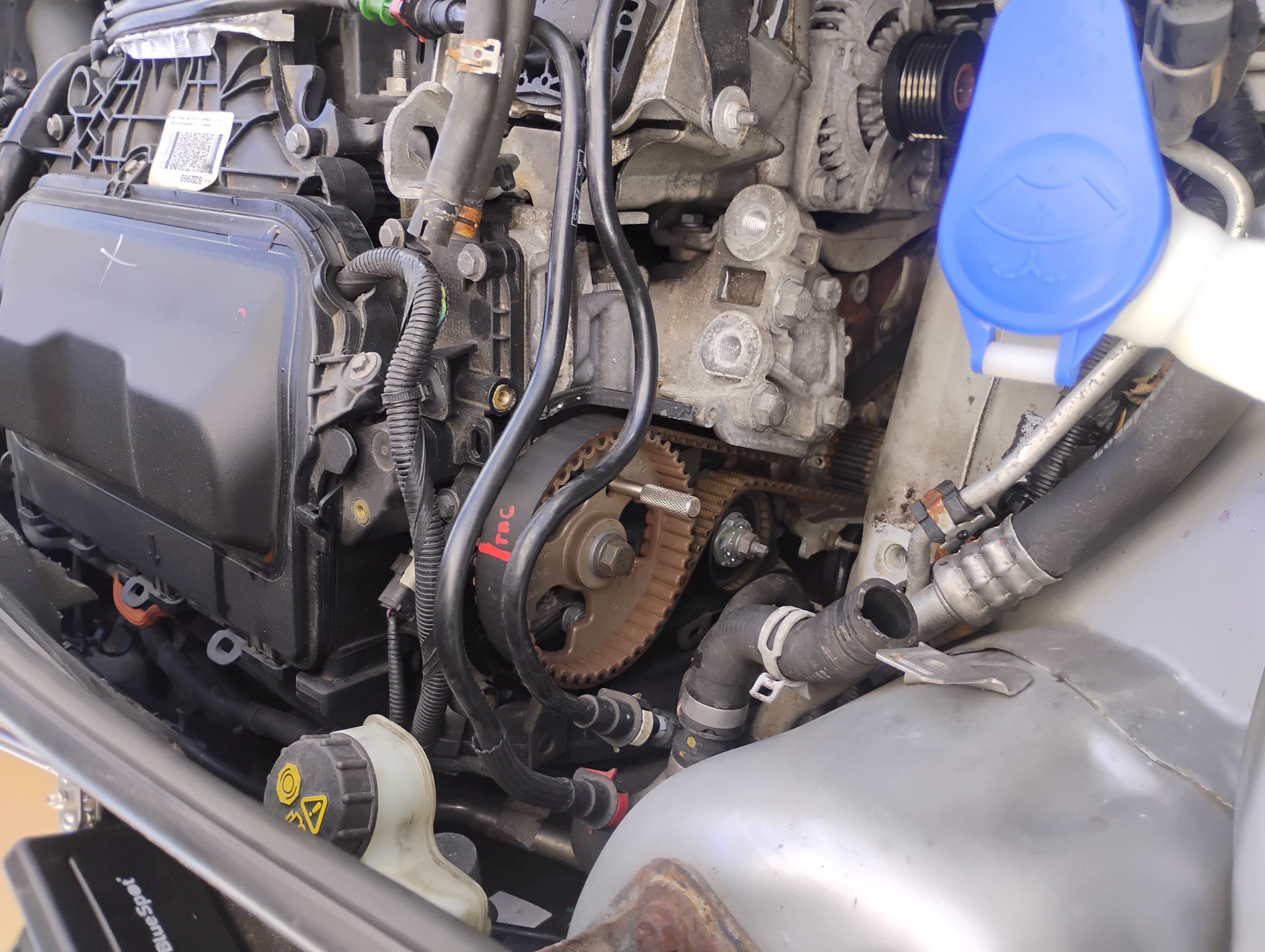 Timing belt work on a Ford Kuga
